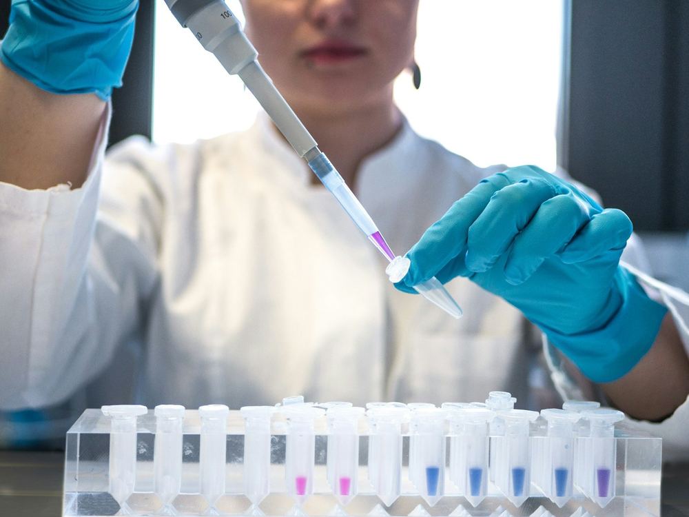 Pipetting a screening panel